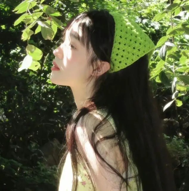 灵书妙探第五季 封面